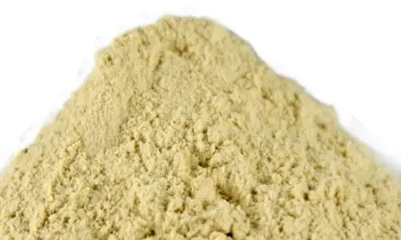 Gluten de blé vital